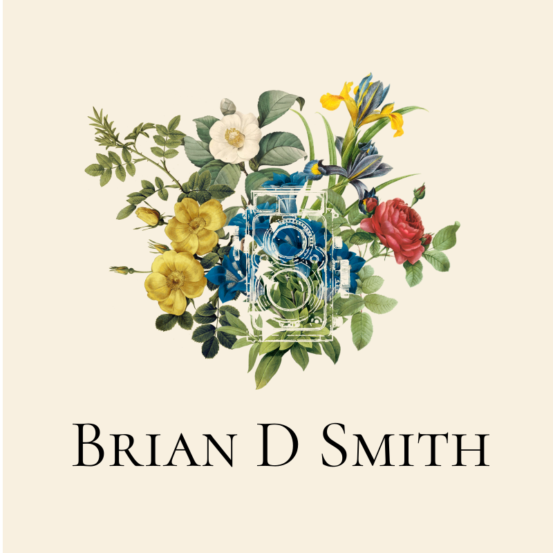 briandsmith-editorial-floral-icon
